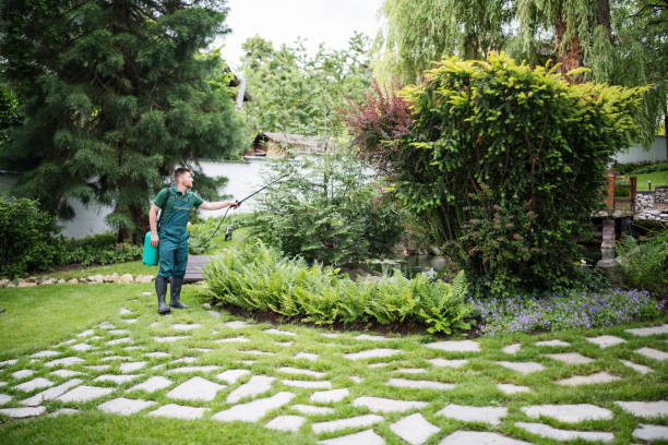 Best Pest Control Cost  in Basye, VA