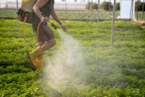 Best Pest Control for Businesses  in Basye, VA