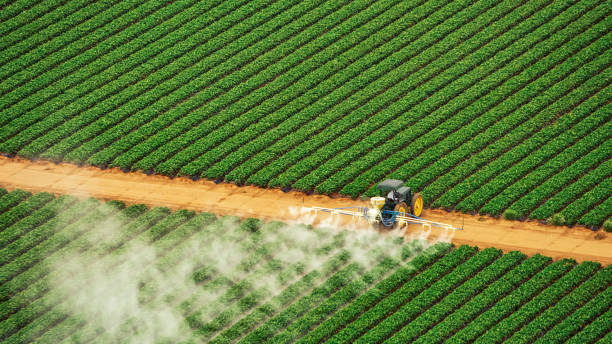 Pest Prevention Services in Basye, VA