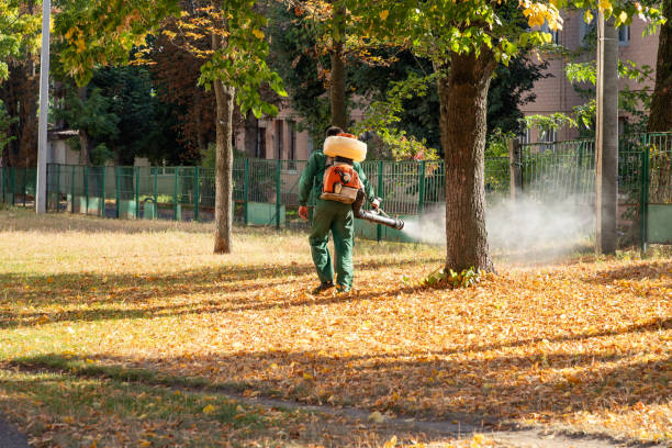 Wildlife Control Services in Basye, VA