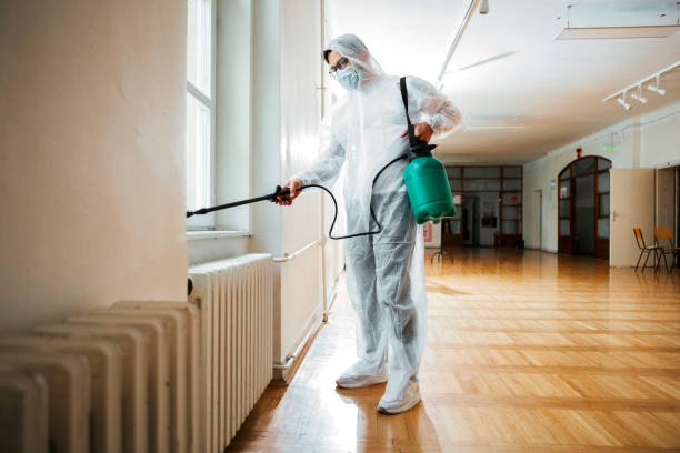 Best Pest Control for Homes  in Basye, VA